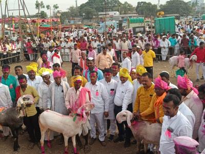 Selyamendhya Yatra