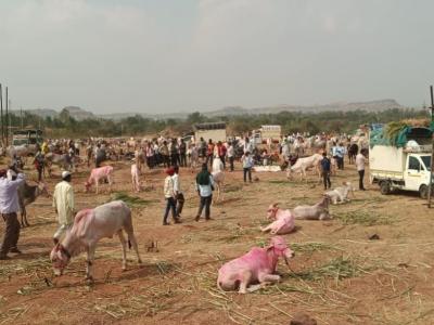 Khillar Market Sm
