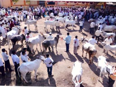Khillar Mm