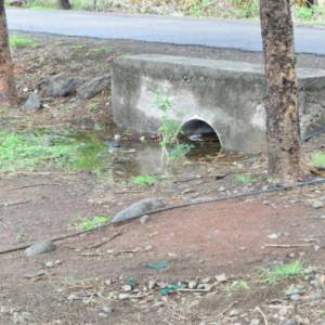 Drainage_original